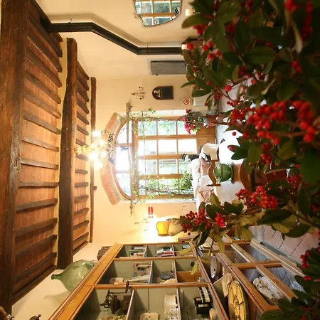 فيلة La Casa Del Sole Del Sodo *