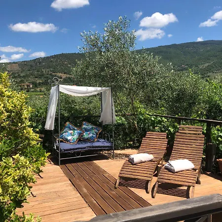 Delizioso E Particolare Casale Con Piscina,cortona *